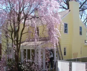 The Best Brick Paint Coating Service The Best Brick Holt-back-after