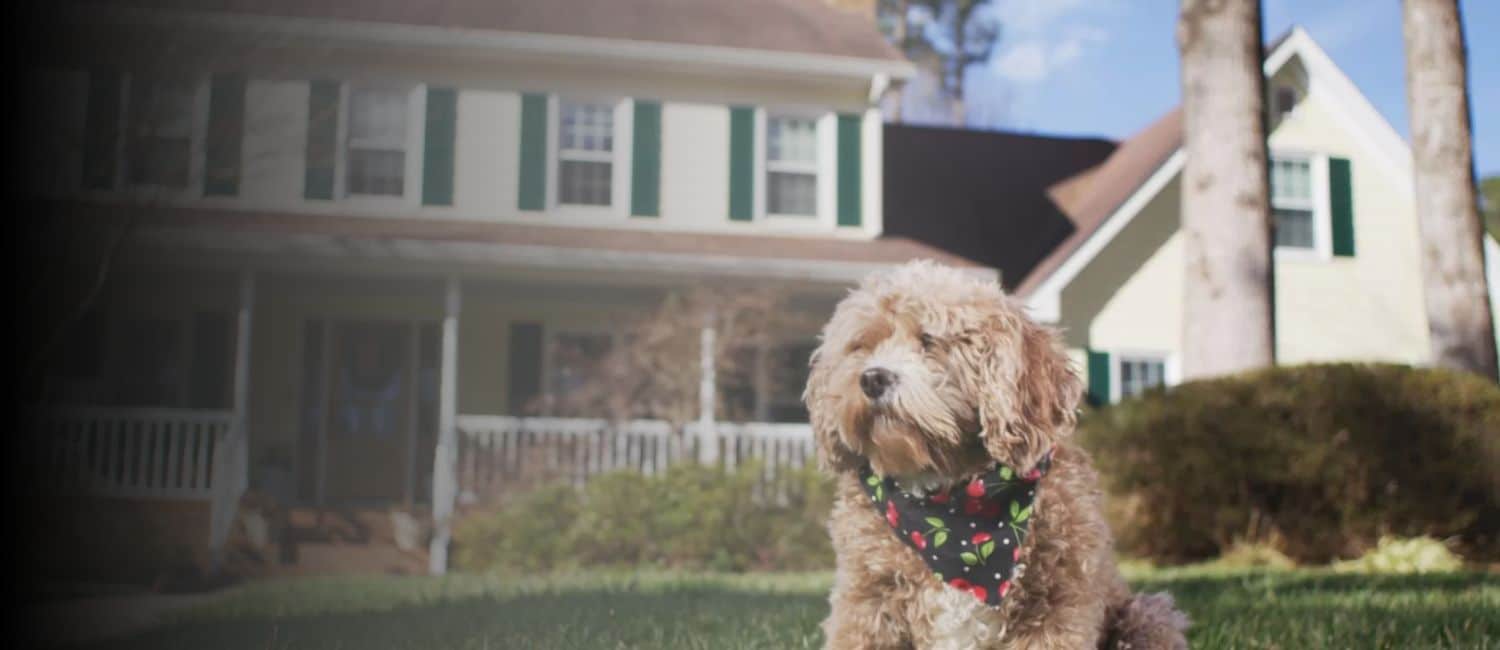 Rhino shield home exterior from over 14 years ago.